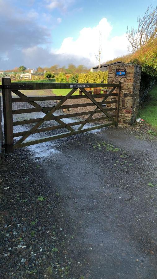 Thistledown Lodge! 5 Minutes From Beach! Free Cancellation! Haverfordwest Exteriör bild